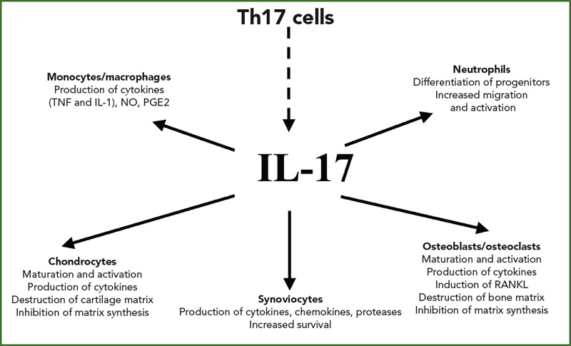 IncreasingPotencyOfMSCs